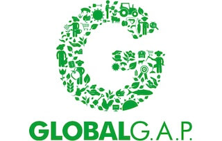 Global gap certificate logo